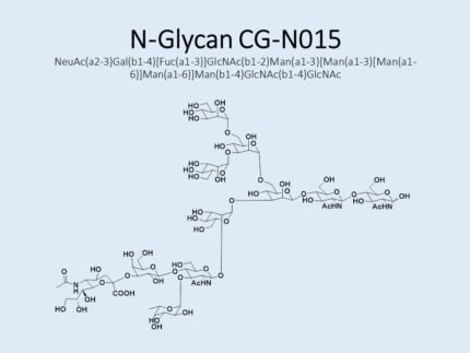 n-glycan-cg-n015-1