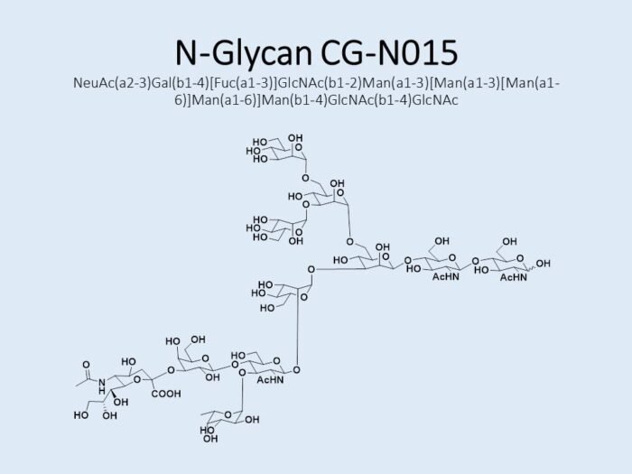 n-glycan-cg-n015-1