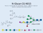 N-glycan-CG-N015