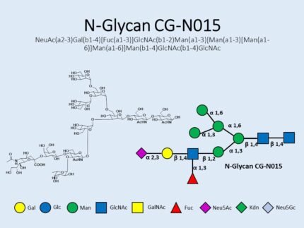 n-glycan-cg-n015