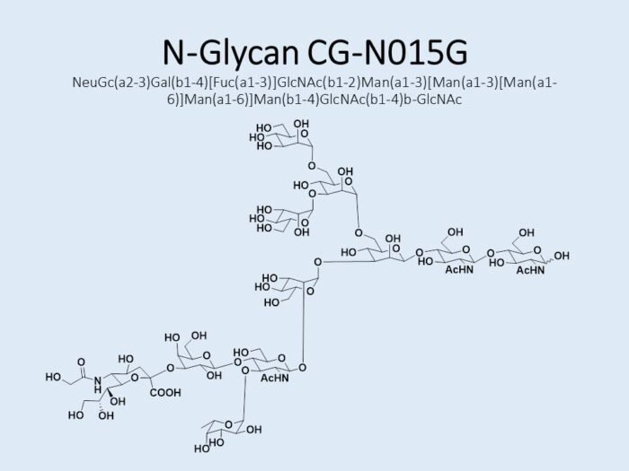 n-glycan-cg-n015g-1