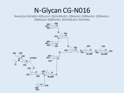 n-glycan-cg-n016-1