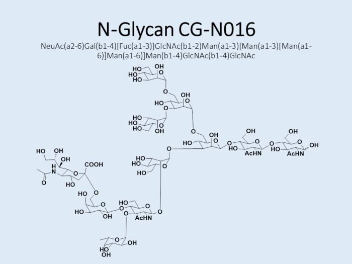 n-glycan-cg-n016-1