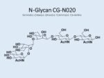 N-glycan-CG-N020