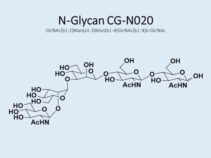 n-glycan-cg-n020-1