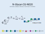 N-glycan-CG-N020