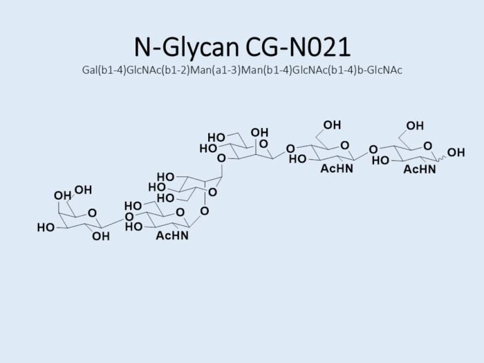 n-glycan-cg-n021-1