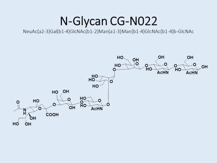 n-glycan-cg-n022-1