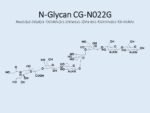 N-glycan-CG-N022G