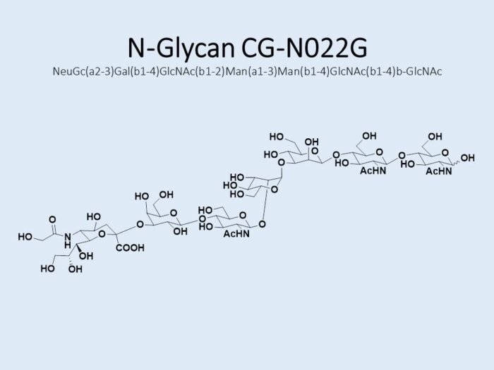 n-glycan-cg-n022g-1