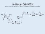 N-glycan-CG-N023