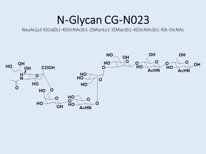 n-glycan-cg-n023-1