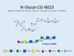 N-glycan-CG-N023