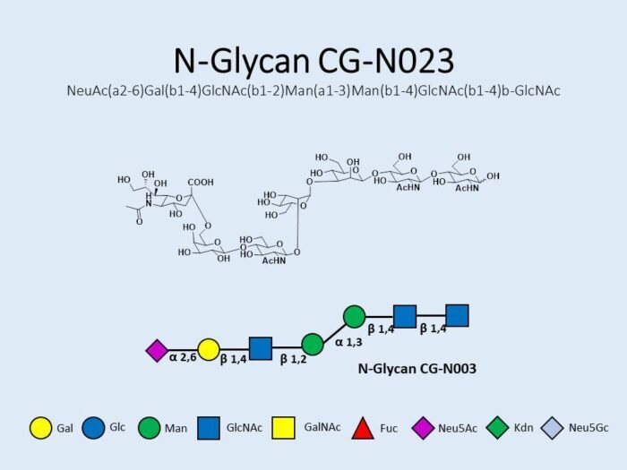 n-glycan-cg-n023