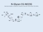 N-glycan-CG-N023G