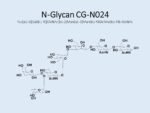 N-glycan-CG-N024