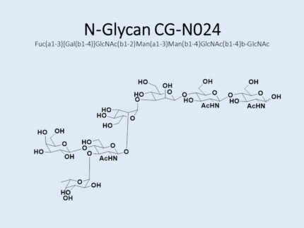 n-glycan-cg-n024-1