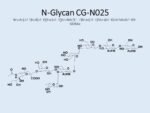 N-glycan-CG-N025