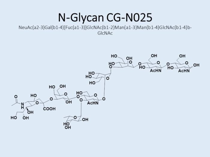 n-glycan-cg-n025-1