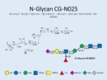 N-glycan-CG-N025