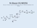 N-glycan-CG-N025G