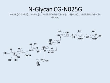 n-glycan-cg-n025g-1