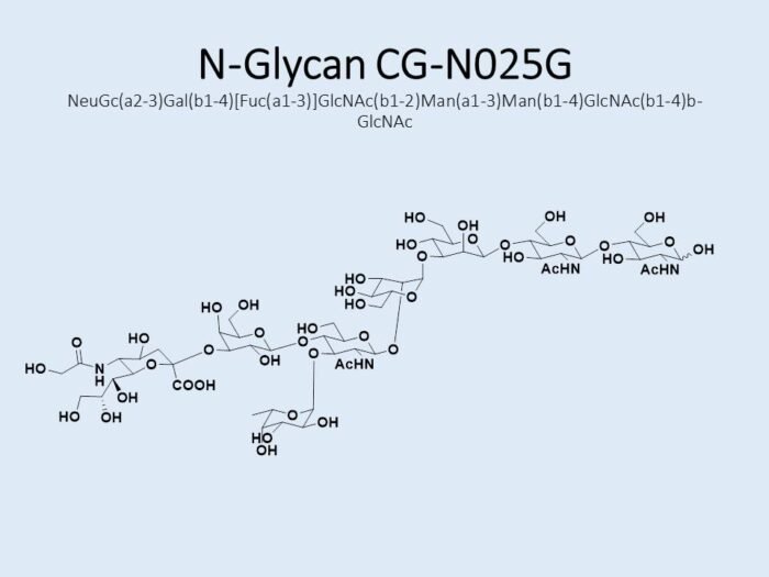 n-glycan-cg-n025g-1