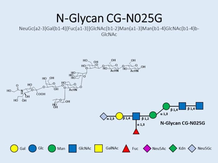 n-glycan-cg-n025g