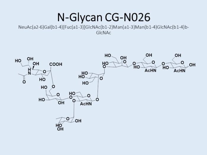 n-glycan-cg-n026-1