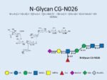 N-glycan-CG-N026