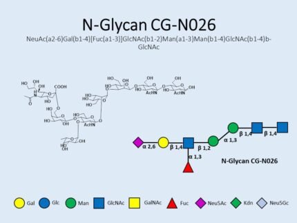 n-glycan-cg-n026
