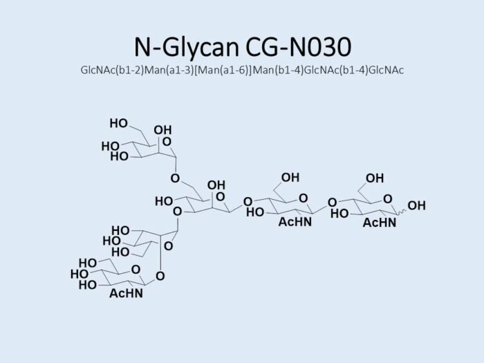 n-glycan-cg-n030-1