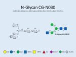 N-glycan-CG-N030