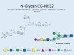 N-glycan-CG-N032