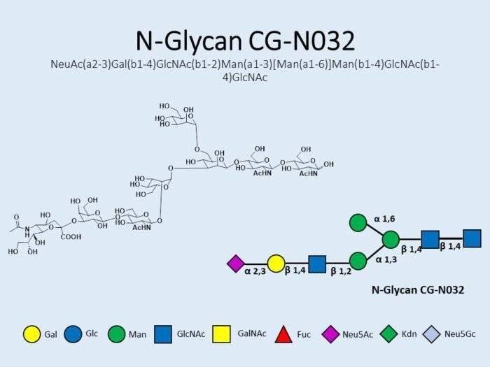 n-glycan-cg-n032