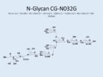 N-glycan-CG-N032G