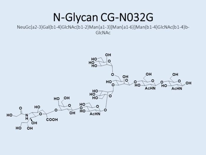 n-glycan-cg-n032g-1