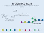 N-glycan-CG-N033