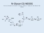 N-glycan-CG-N033G