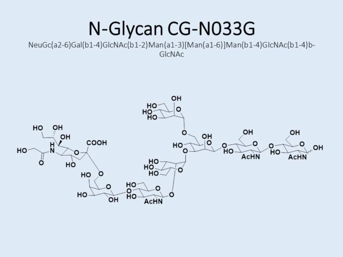 n-glycan-cg-n033g-1