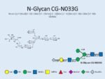 N-glycan-CG-N033G