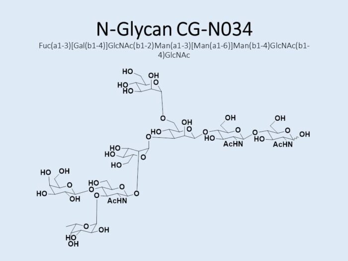 n-glycan-cg-n034-1