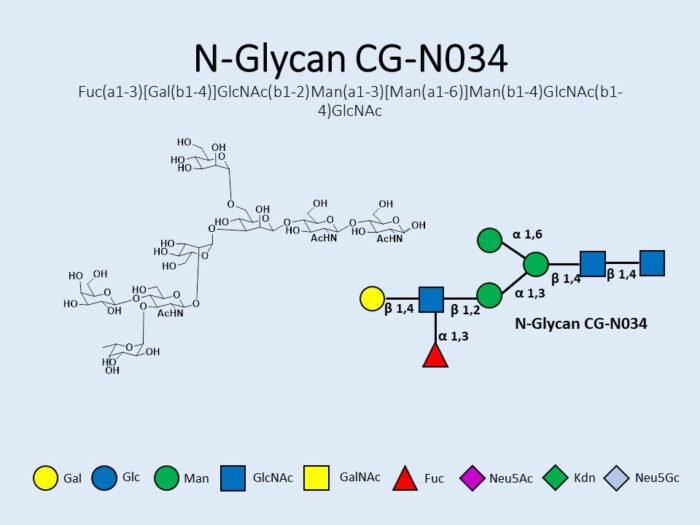 n-glycan-cg-n034