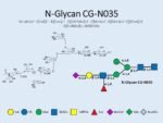 N-glycan-CG-N035