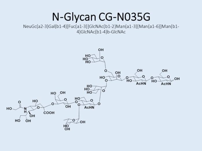 n-glycan-cg-n035g-1