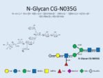 N-glycan-CG-N035G