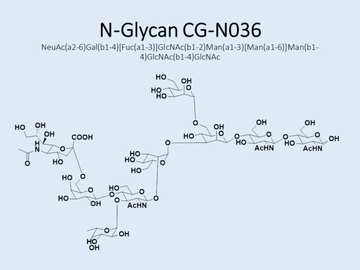 n-glycan-cg-n036-1