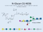 N-glycan-CG-N036