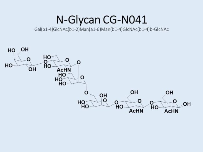 n-glycan-cg-n041-1