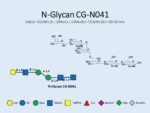 N-glycan-CG-N041